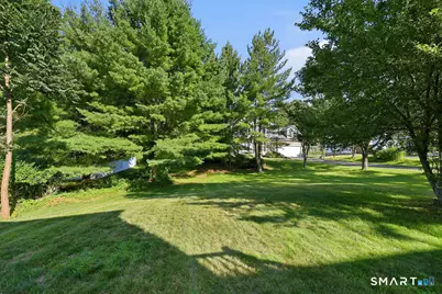46 Dundee Drive, Cheshire, CT 06410 - Photo 36