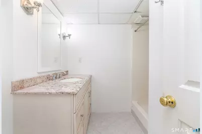 62 Black Walnut Lane, Burlington, CT 06013 - Photo 34