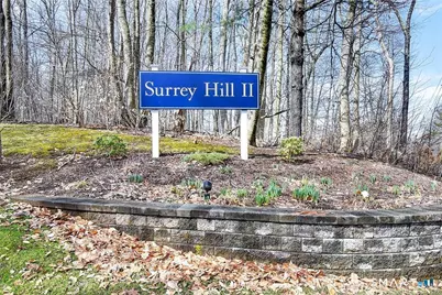 334 Conestoga Way #334, Glastonbury, CT 06033 - Photo 38