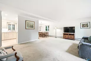 28 Meetinghouse Terrace, New Milford, CT 06776 - Photo 6
