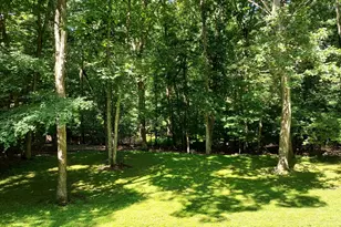 109 Cannon Dr, Hebron, CT 06231 - Photo 38