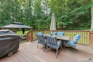 130 Alpine Dr, Newtown, CT 06482 - Photo 30