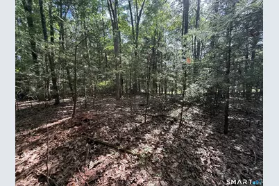 Tayler Trail, Woodstock Valley, CT 06281 - Photo 4