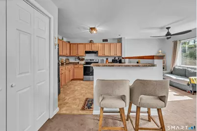 182 Willow Springs #182, New Milford, CT 06776 - Photo 10