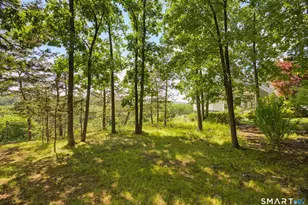 49 Wyngate Dr, Avon, CT 06001 - Photo 40