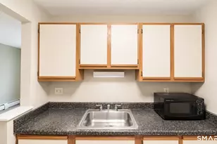 14 Pinney St, Ellington, CT 06029 - Photo 4