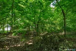 17 Gorman Pl, Manchester, CT 06040 - Photo 40