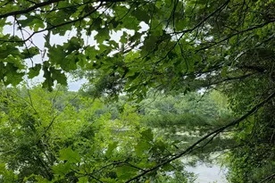 980 Voluntown Rd, Griswold, CT 06351 - Photo 4