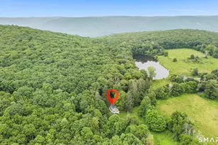 317 Skiff Mountain Rd, Kent, CT 06757 - Photo 2