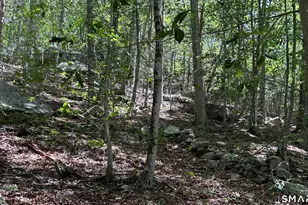 0 Norwich Salem Rd, East Haddam, CT 06423 - Photo 1