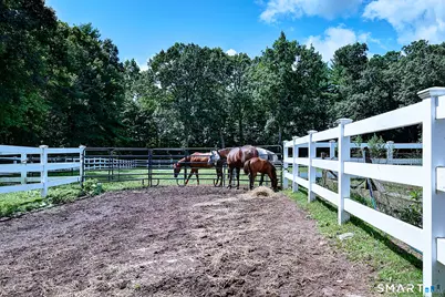 56 Old Farms Road, Willington, CT 06279 - Photo 10