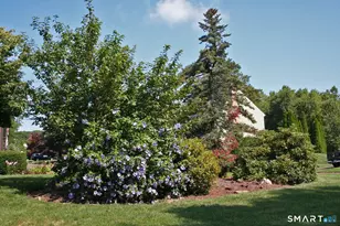 47 Spice Hill Dr, East Hampton, CT 06424 - Photo 40