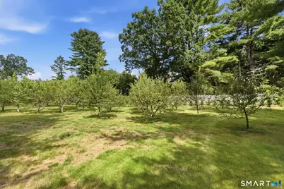 428 Tarbox Road, Plainfield, CT 06374 - Photo 38