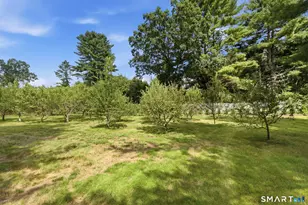 428 Tarbox Rd, Plainfield, CT 06374 - Photo 38