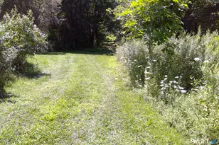 92 Pine St, Columbia, CT 06237 - Photo 26