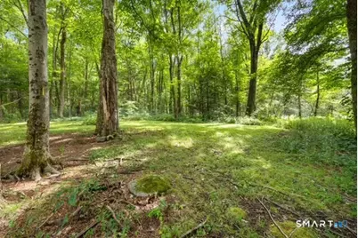 65 Burwell Road, New Hartford, CT 06057 - Photo 30