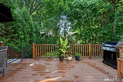 16 Dale Drive, Greenwich, CT 06831 - Photo 36