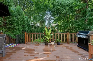 16 Dale Dr, Greenwich, CT 06831 - Photo 36