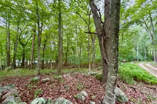 228-B Mile Creek Rd, Old Lyme, CT 06371 - Photo 8
