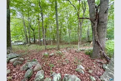 228-B Mile Creek Road, Old Lyme, CT 06371 - Photo 12