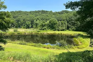 97 Cushman Rd, Ashford, CT 06278 - Photo 8