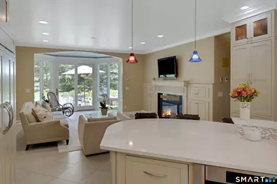 700 Hollow Tree Ridge Road, Darien, CT 06820 - Photo 16