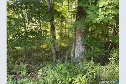 56 Hubbell Mountain Road, Sherman, CT 06784 - Photo 6