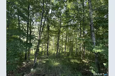 56 Hubbell Mountain Road, Sherman, CT 06784 - Photo 2