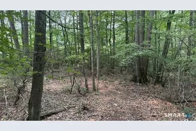195 Silver Springs Drive, Haddam, CT 06441 - Photo 8
