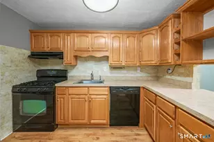 183 Williamstown Ct, Newington, CT 06111 - Photo 10