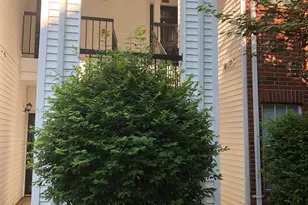 31 High St, East Hartford, CT 06118 - Photo 2