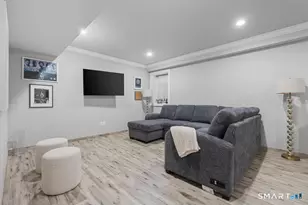 16 Hawthorne St S, Greenwich, CT 06831 - Photo 28