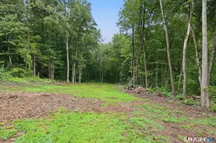 931 Chestnut Hill Rd, Glastonbury, CT 06073 - Photo 30