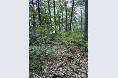 Spectacle Ridge Road, Kent, CT 06785 - Photo 6