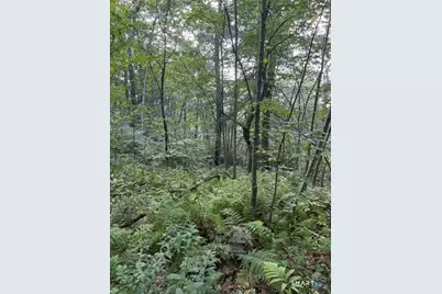Spectacle Ridge Road, Kent, CT 06785 - Photo 8