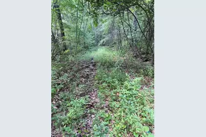 Spectacle Ridge Road, Kent, CT 06785 - Photo 4
