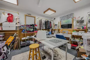 48 Putnam Park Rd, Bethel, CT 06801 - Photo 40