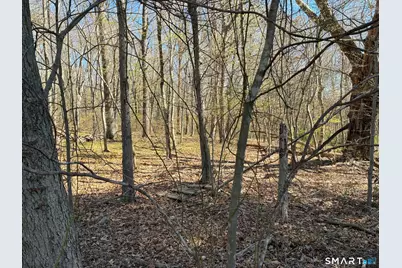 Madison Road, Durham, CT 06422 - Photo 14