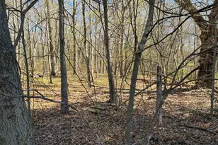 Madison Rd, Durham, CT 06422 - Photo 14