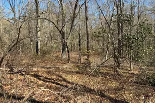 Madison Rd, Durham, CT 06422 - Photo 8