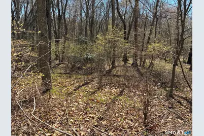 Madison Road, Durham, CT 06422 - Photo 6