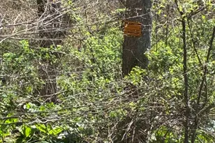 Madison Rd, Durham, CT 06422 - Photo 12