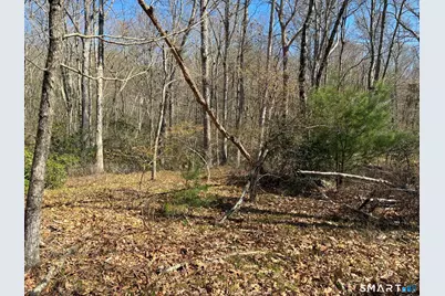 Madison Road, Durham, CT 06422 - Photo 2