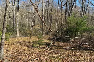 Madison Rd, Durham, CT 06422 - Photo 2