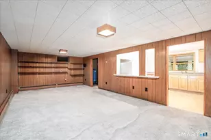 14 Ivy Ln, Danbury, CT 06811 - Photo 30