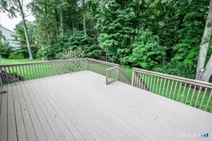 14 Ivy Ln, Danbury, CT 06811 - Photo 20