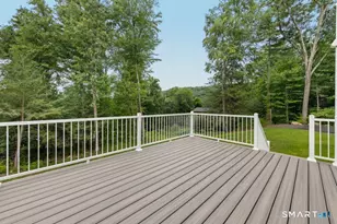 9 Beechwood Dr, Newtown, CT 06482 - Photo 30