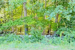 Beaver Dam Rd, Killingworth, CT 06419 - Photo 1