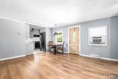 9 Birch Trail, Danbury, CT 06811 - Photo 4