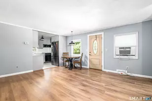9 Birch Trail, Danbury, CT 06811 - Photo 4